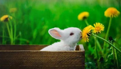 开云kaiyun-朱婷助球队拿下关键战女排世界杯，朱婷女排吧 朱婷个站